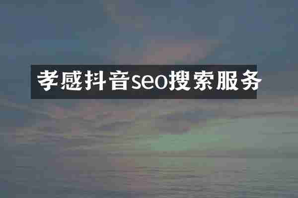 孝感抖音seo搜索服务