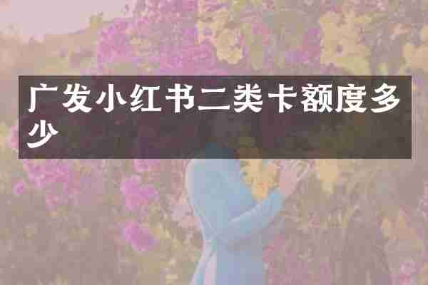 广发小红书二类卡额度多少