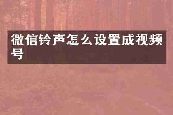 微信铃声怎么设置成视频号