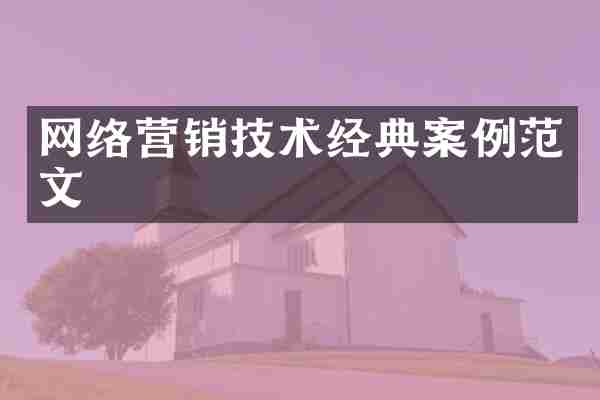 网络营销技术经典案例范文