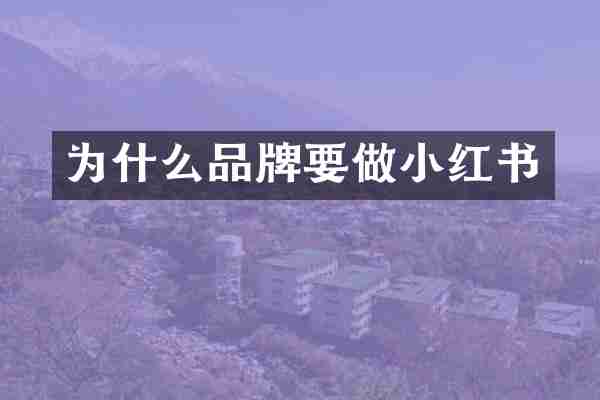 为什么品牌要做小红书