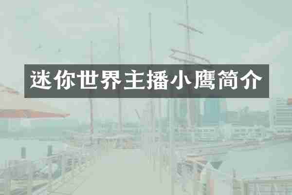 迷你世界主播小鹰简介