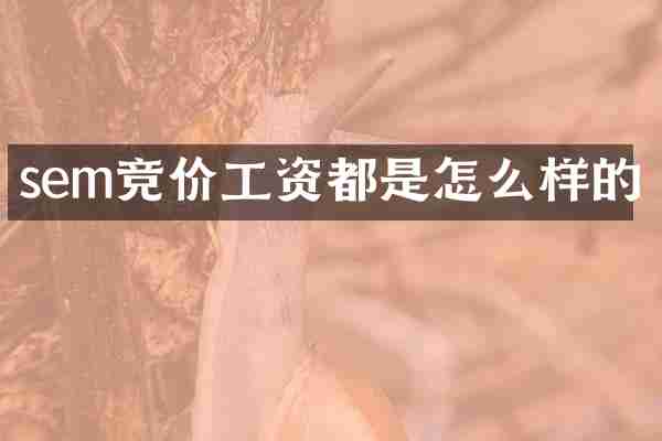 sem竞价工资都是怎么样的