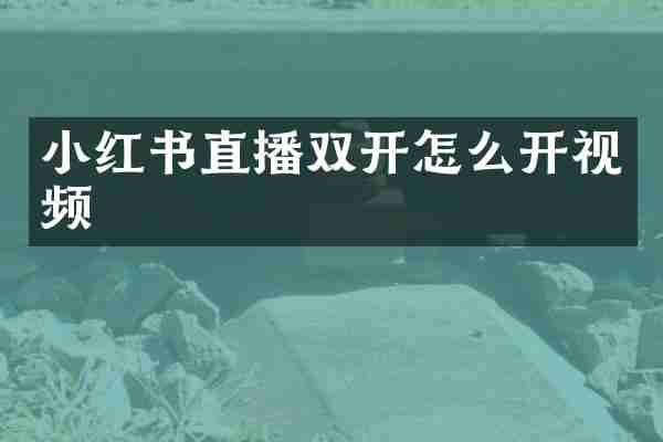 小红书直播双开怎么开视频