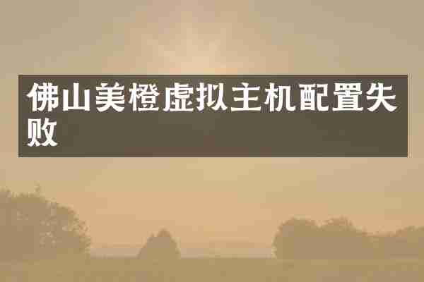 佛山美橙虚拟主机配置失败