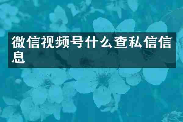 微信视频号什么查私信信息