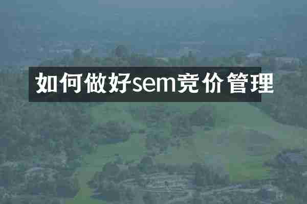 如何做好sem竞价管理