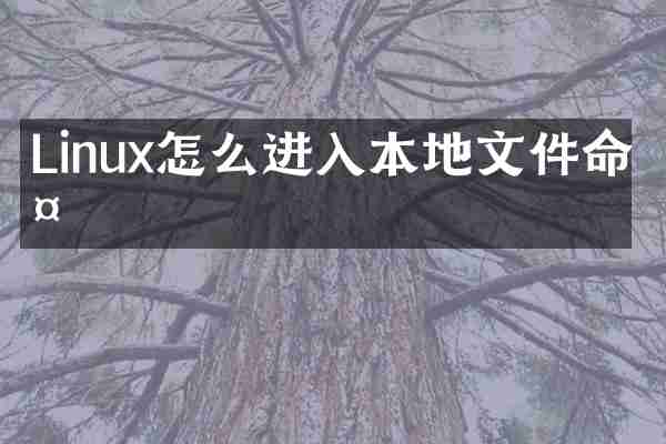 Linux怎么进入本地文件命令