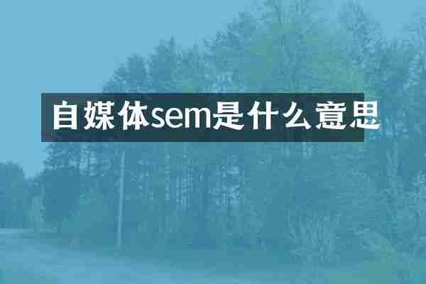 自媒体sem是什么意思