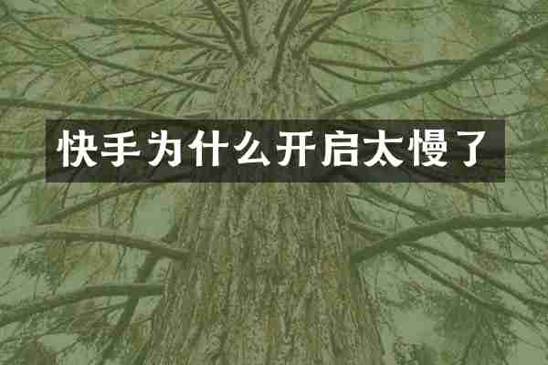 快手为什么开启太慢了