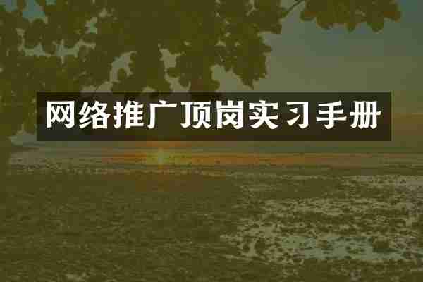 网络推广顶岗实习手册