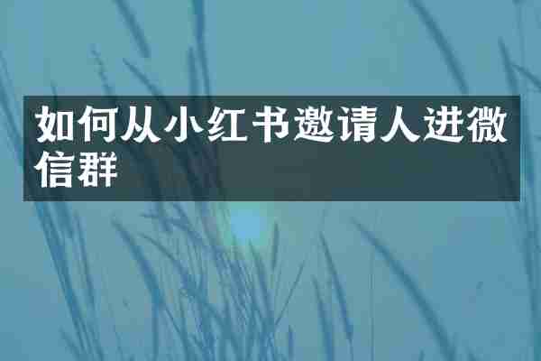 如何从小红书邀请人进微信群