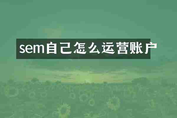 sem自己怎么运营账户