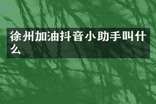 徐州加油抖音小助手叫什么