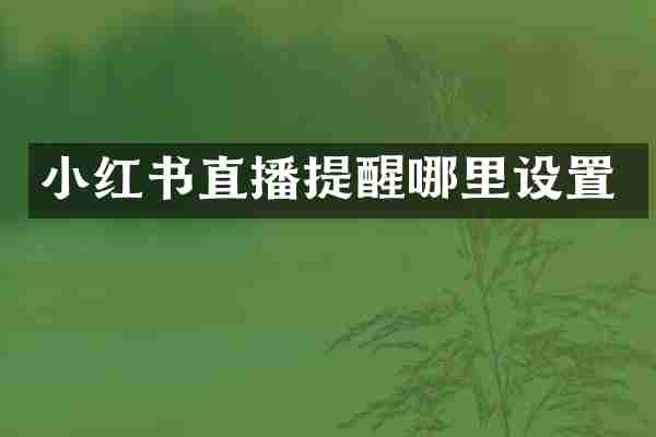小红书直播提醒哪里设置