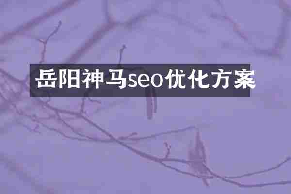岳阳神马seo优化方案