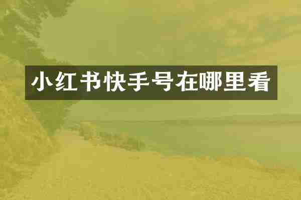 小红书快手号在哪里看