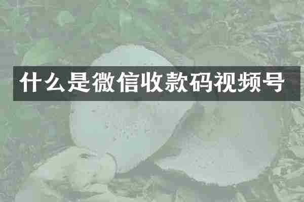 什么是微信收款码视频号