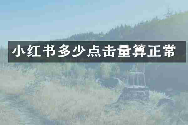 小红书多少点击量算正常
