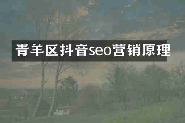 青羊区抖音seo营销原理