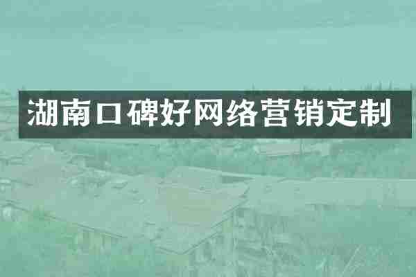湖南口碑好网络营销定制