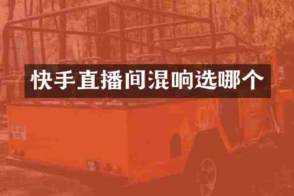 快手直播间混响选哪个
