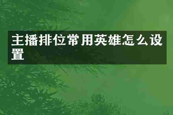 主播排位常用英雄怎么设置