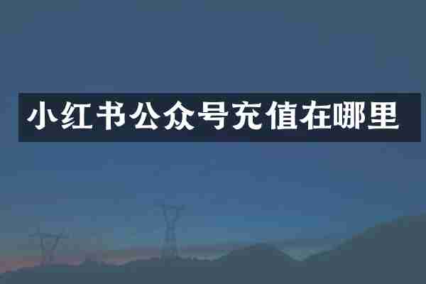 小红书公众号充值在哪里