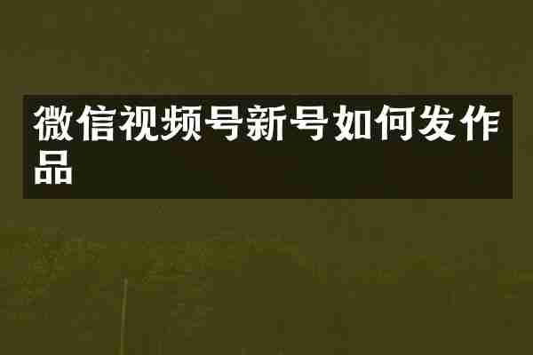 微信视频号新号如何发作品