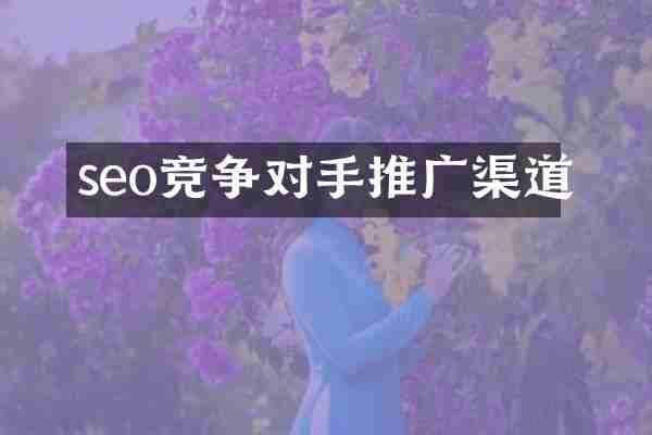 seo竞争对手推广渠道
