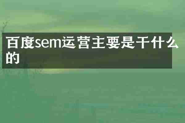 百度sem运营主要是干什么的
