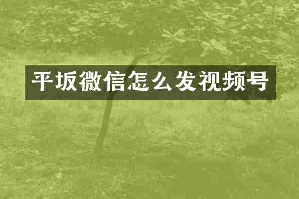 平坂微信怎么发视频号