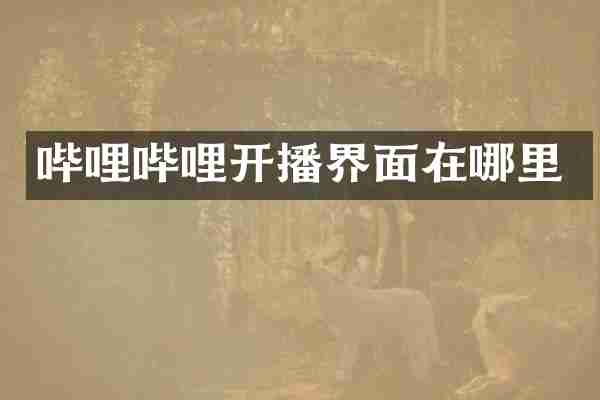 哔哩哔哩开播界面在哪里