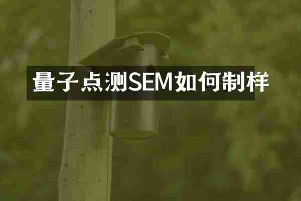 量子点测SEM如何制样