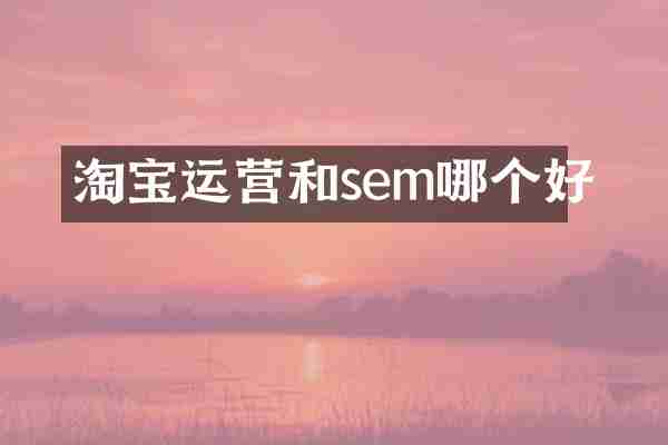 淘宝运营和sem哪个好