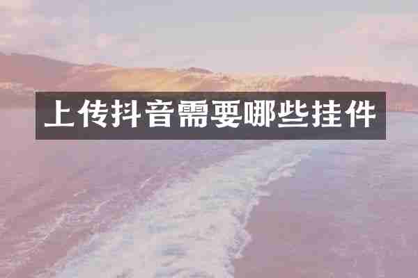 上传抖音需要哪些挂件