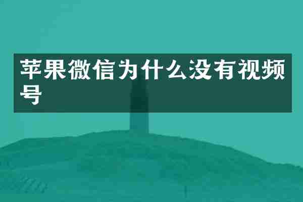 苹果微信为什么没有视频号