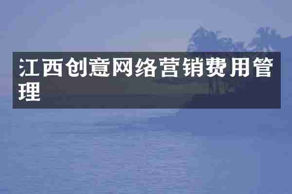 江西创意网络营销费用管理