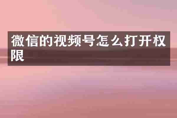 微信的视频号怎么打开权限