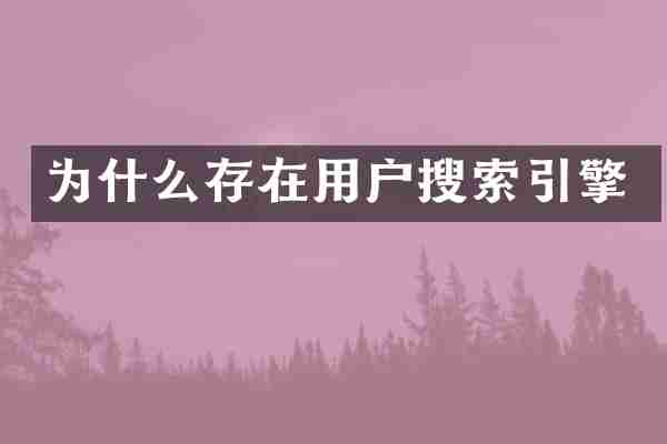 为什么存在用户搜索引擎