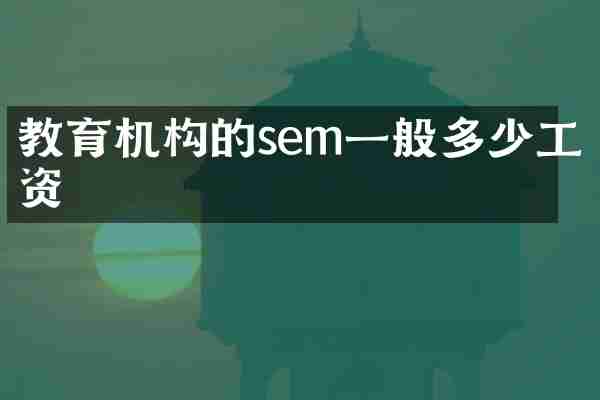 教育机构的sem一般多少工资