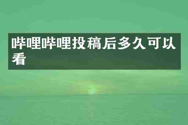 哔哩哔哩投稿后多久可以看