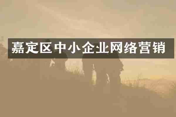 嘉定区中小企业网络营销