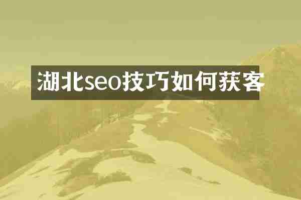 湖北seo技巧如何获客