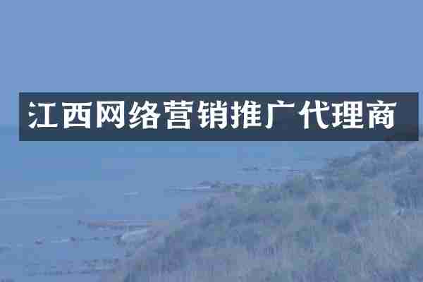 江西网络营销推广代理商