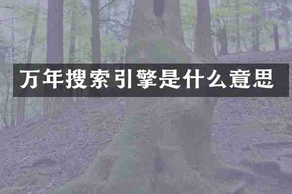 万年搜索引擎是什么意思