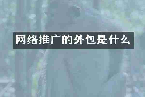 网络推广的外包是什么