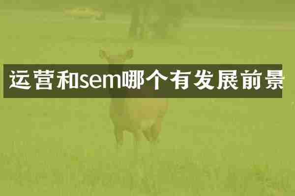 运营和sem哪个有发展前景