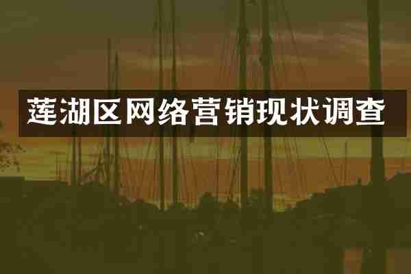 莲湖区网络营销现状调查