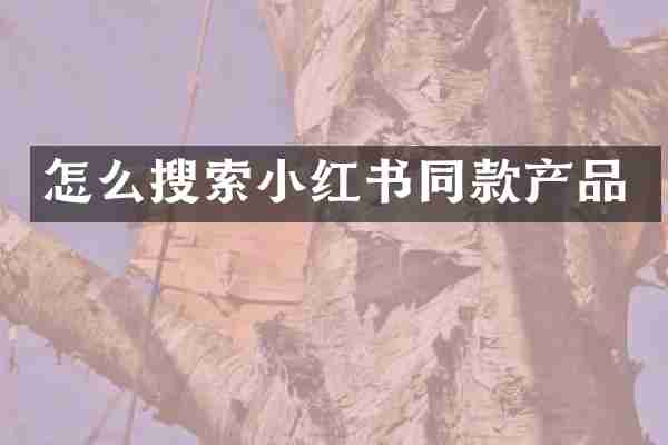 怎么搜索小红书同款产品